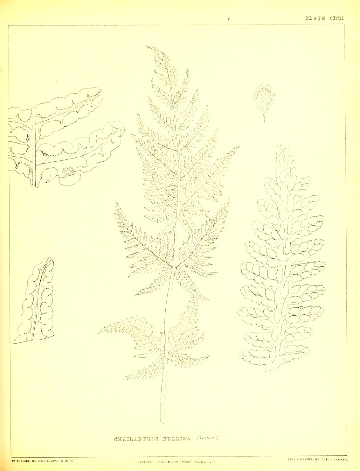n498_w1150