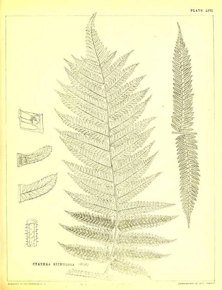 n228_w1150
