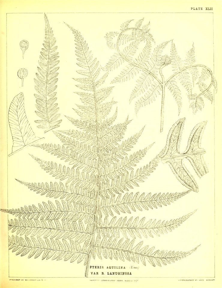 n198_w1150