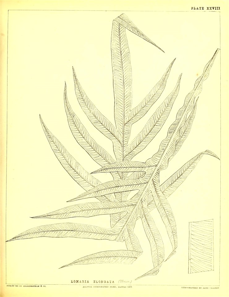 n168_w1150