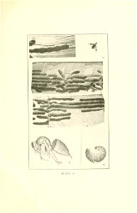 n114_w1150