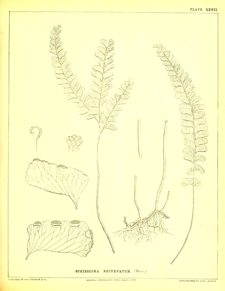 n166_w1150