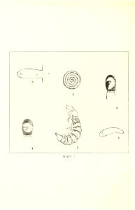 n113_w1150