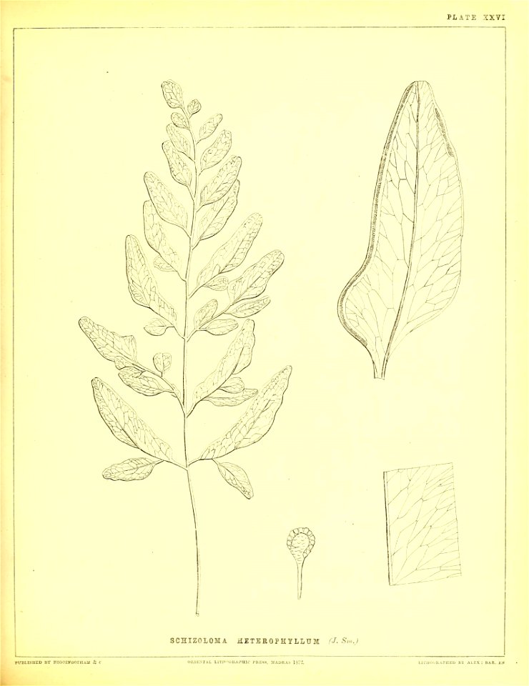 n164_w1150