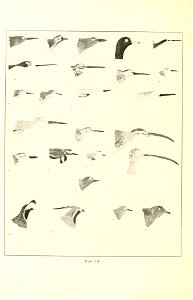 n199_w1150