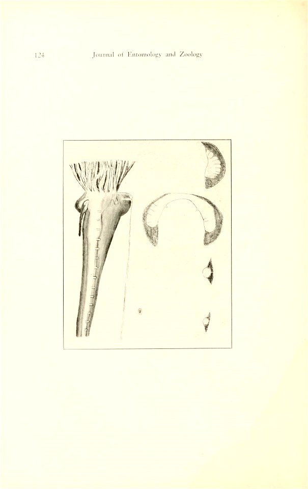 n49_w1150