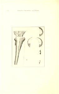 n49_w1150