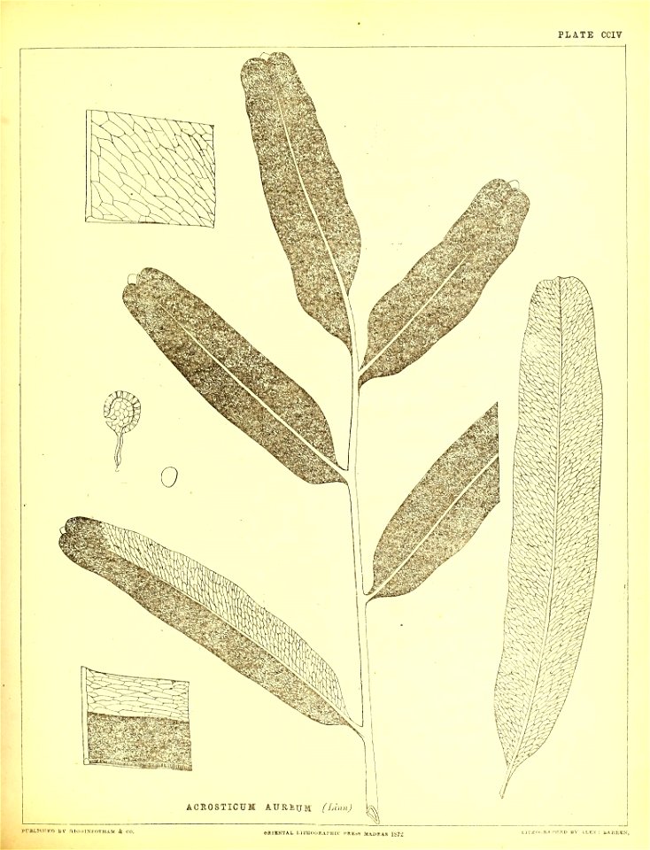 n522_w1150
