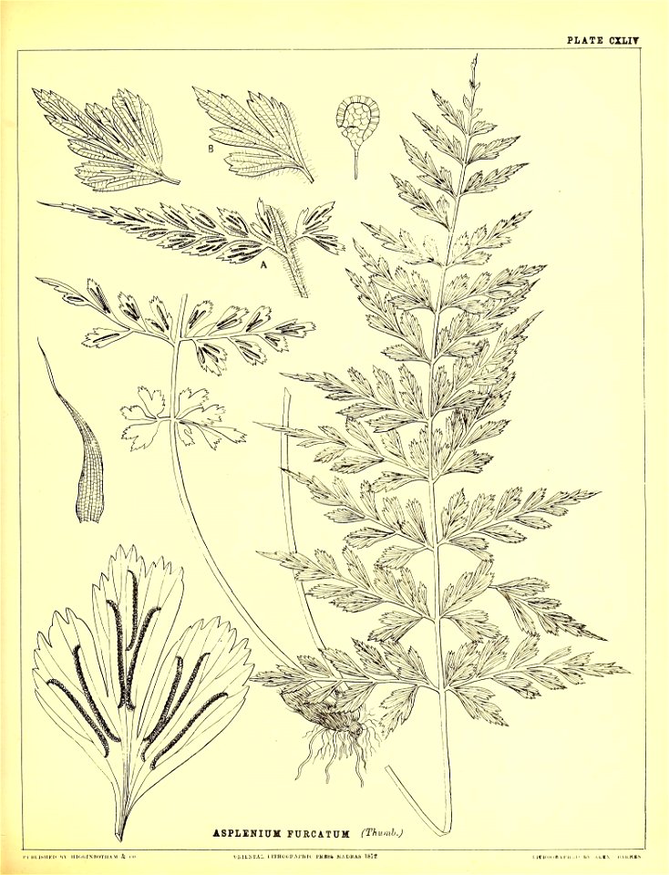 n402_w1150