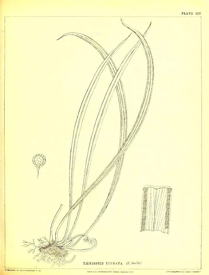 n222_w1150