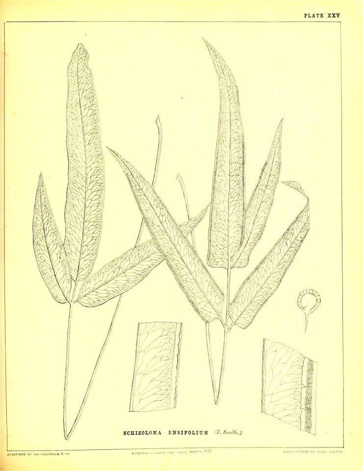 n162_w1150