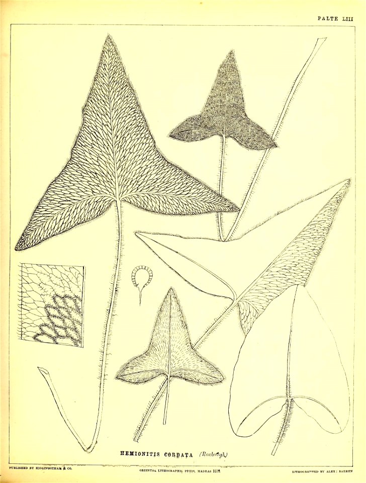 n220_w1150
