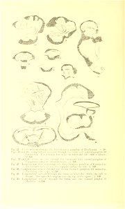 n53_w1150