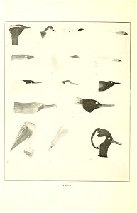 n197_w1150