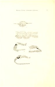 n41_w1150