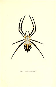 n152_w1150