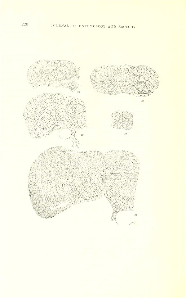 n69_w1150