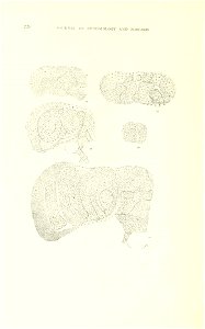 n69_w1150