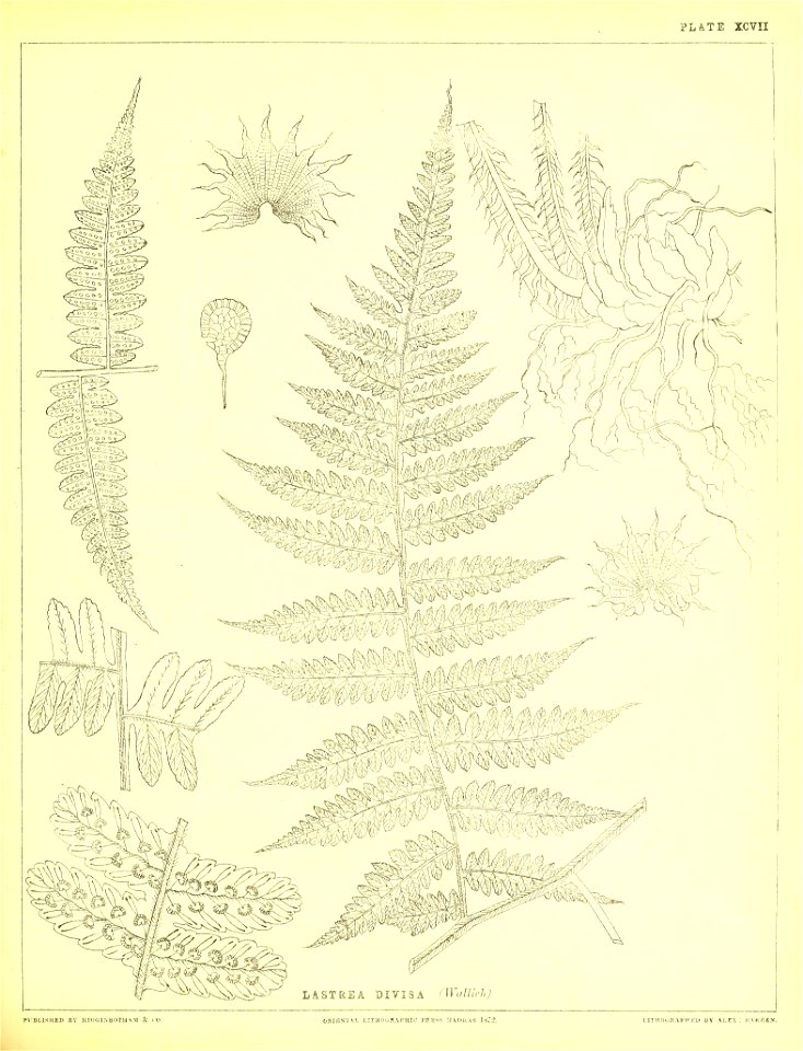 n308_w1150