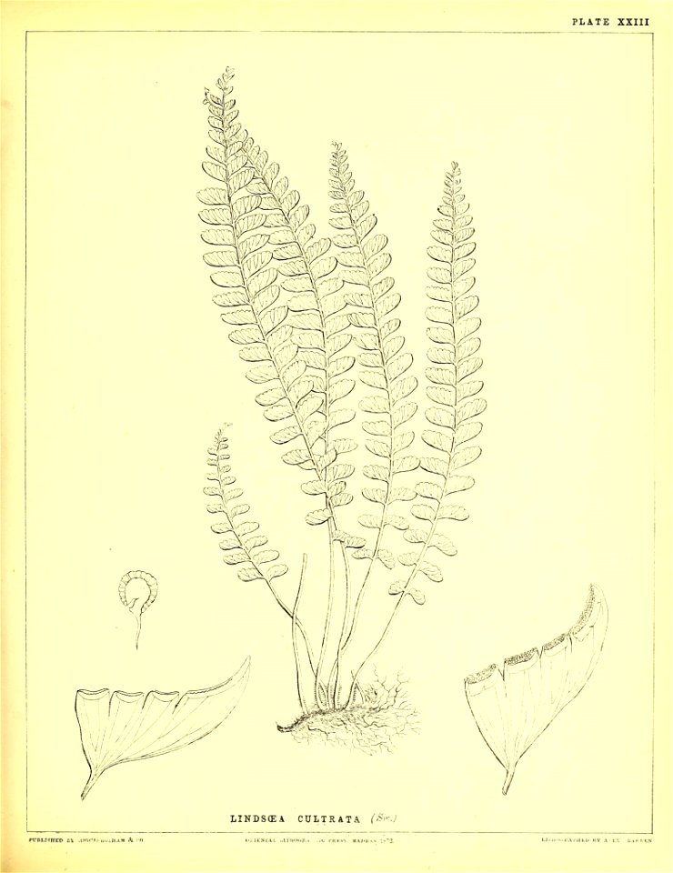 n158_w1150