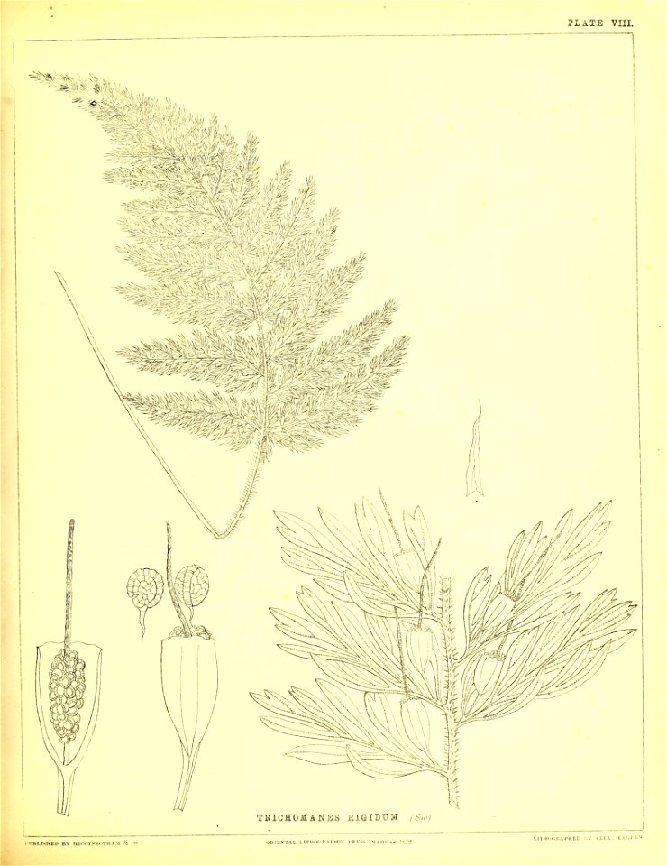 n128_w1150