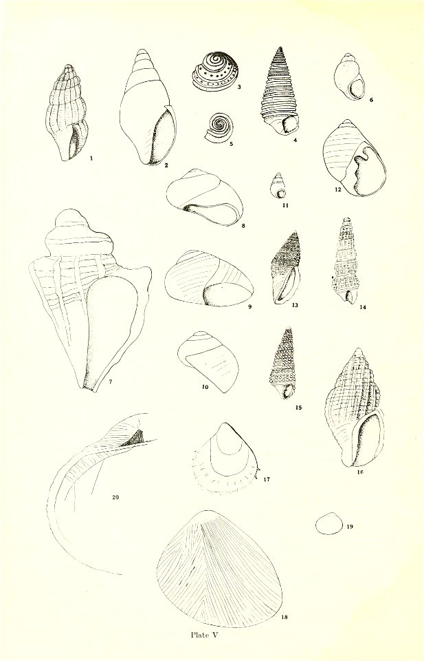 n167_w1150