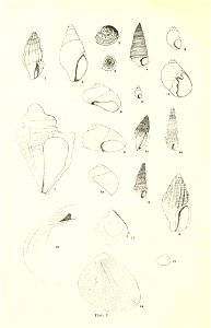 n167_w1150