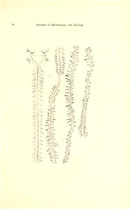 n40_w1150
