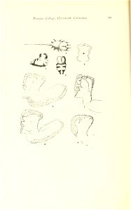 n147_w1150