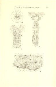 n68_w1150