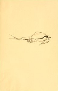 n154_w1150