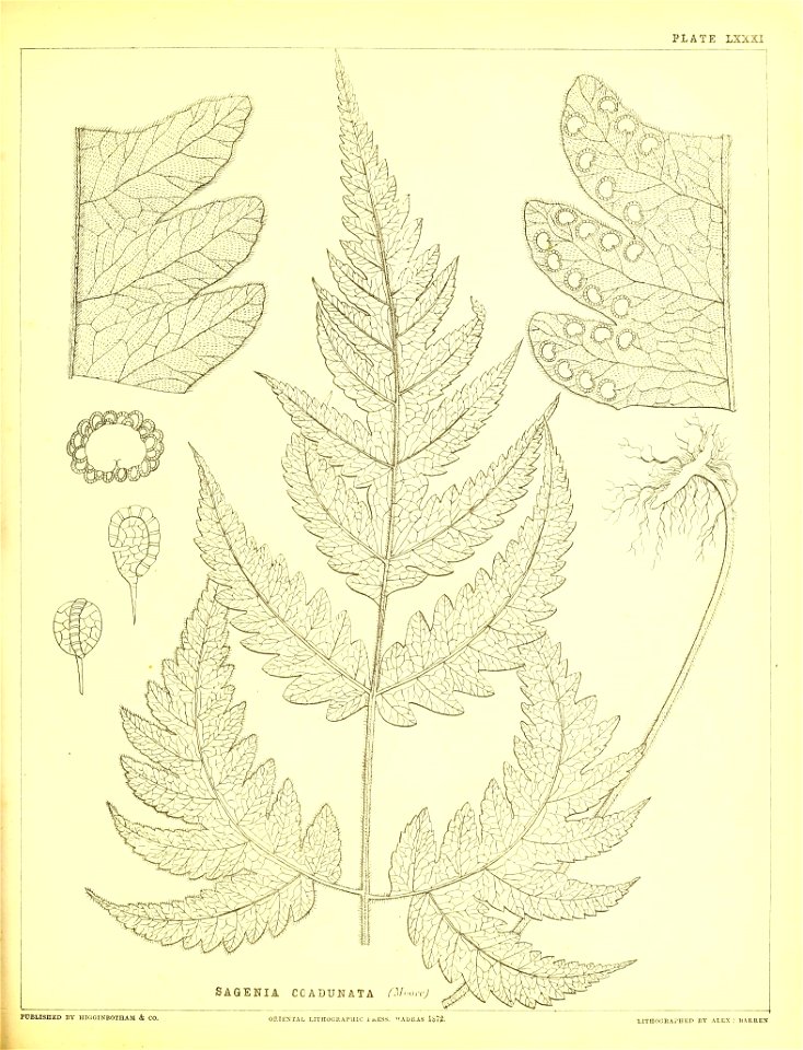 n276_w1150