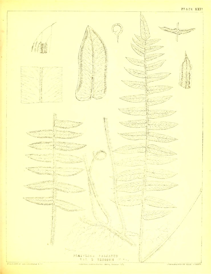 n156_w1150
