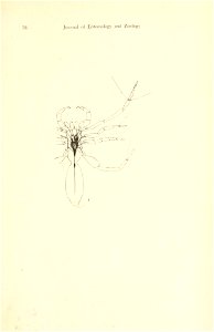 n146_w1150