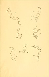 n142_w1150