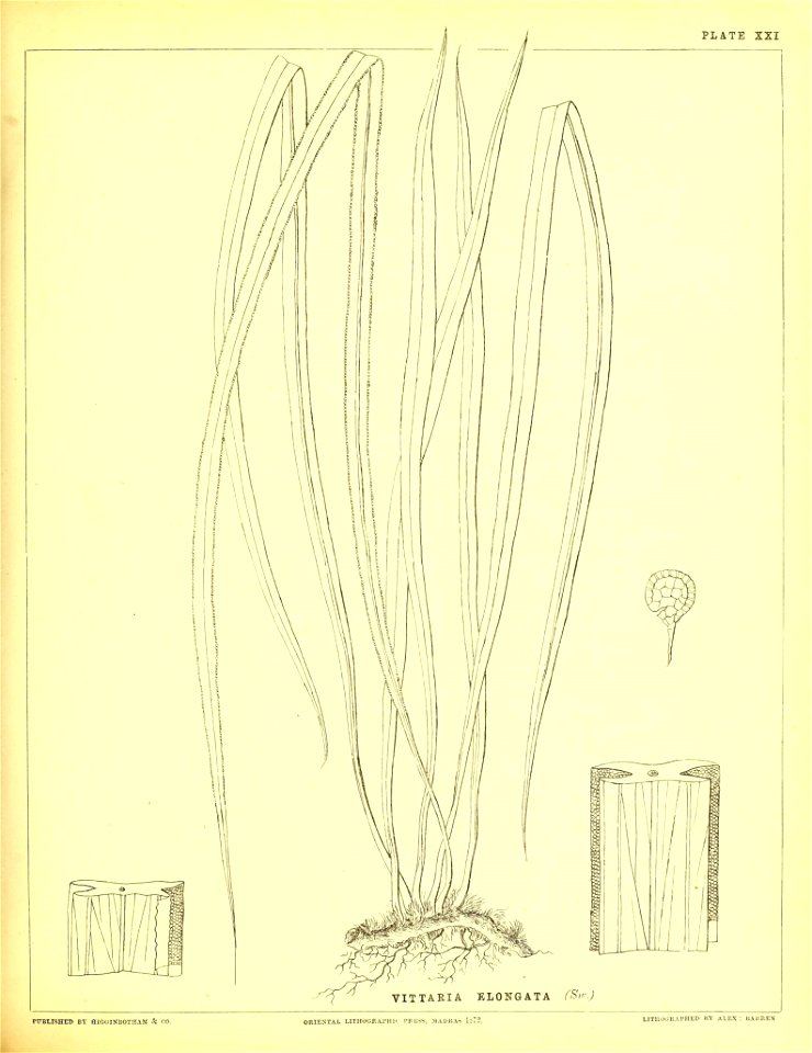 n154_w1150