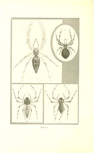 n95_w1150