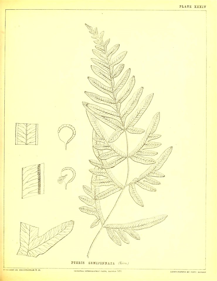 n182_w1150