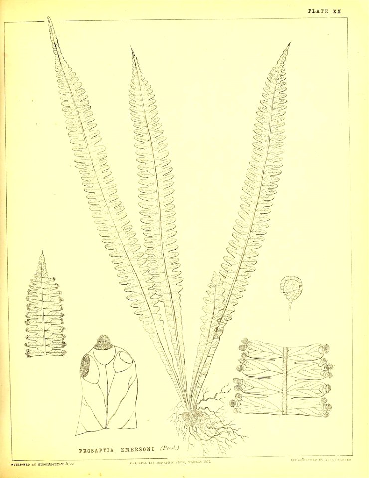 n152_w1150
