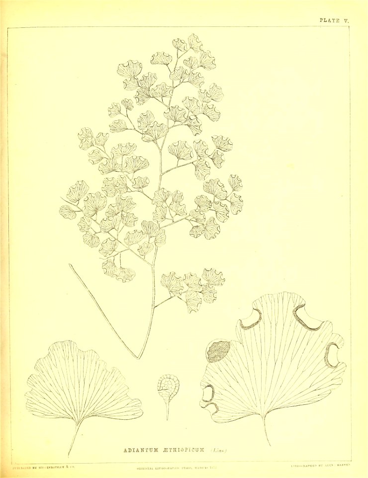 n122_w1150