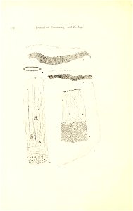 n19_w1150