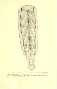 n126_w1150