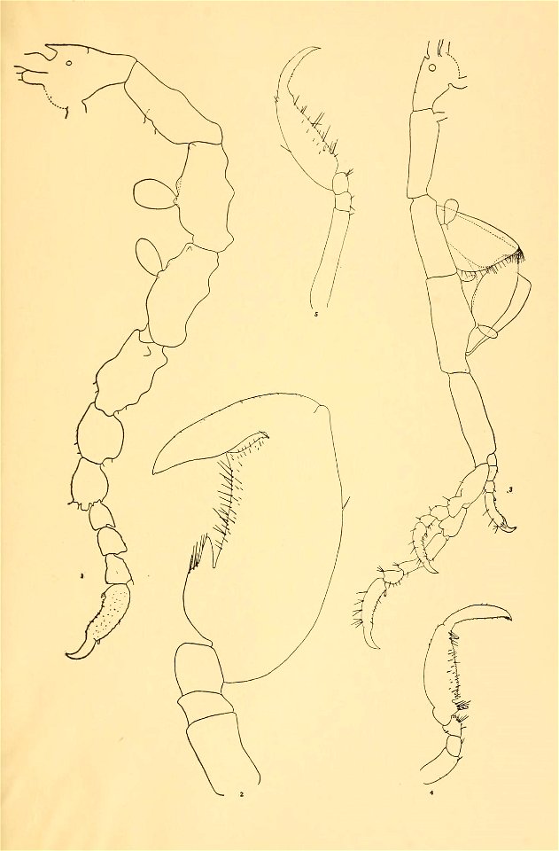 n140_w1150