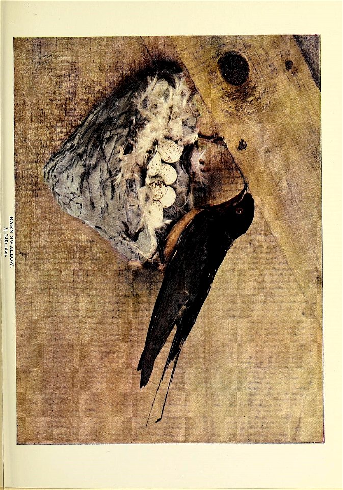 n172_w1150