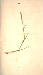 n256_w1150