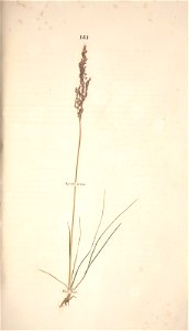 n222_w1150