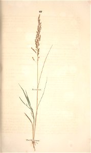 n138_w1150