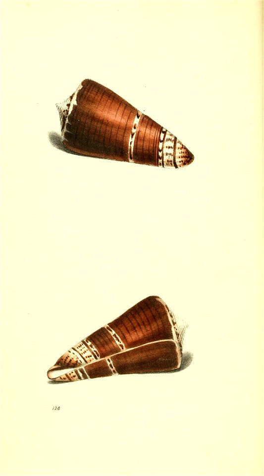 n63_w1150
