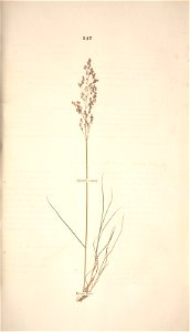 n218_w1150