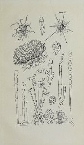 n252_w1150